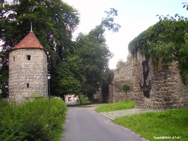 Promenada wzdłuż ul. Kubika i murów obronnych - wznies. 1479-80 (miejski system fortyfikacji) w tym Staw Miejski.
