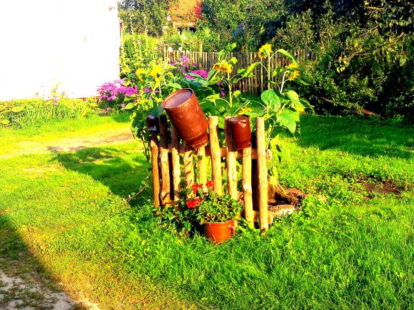 zdjecie Zielona Góra