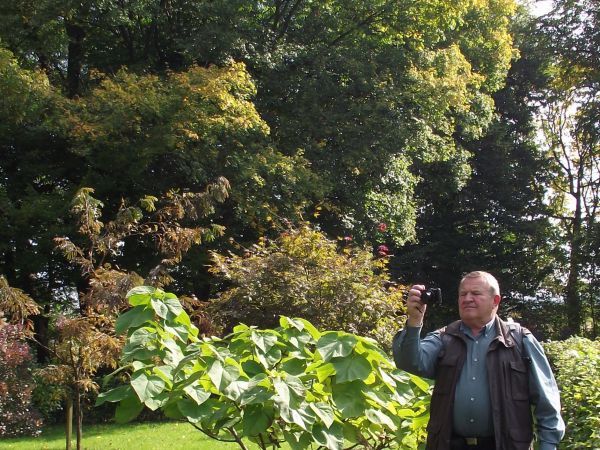 wszystkiego nie zdołamy poznać, ogarnąć - wiele tego, dużo egzotycznych - no, ale chęci mamy - dokumentujemy dostępnymi technikami - chwalić będziemy...