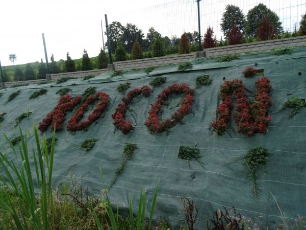 Nazwa miejscowości zrobiona z kwiatów