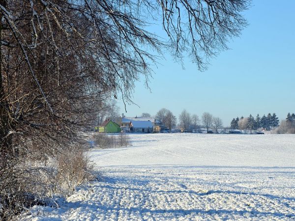 Morany - grudzień 2014