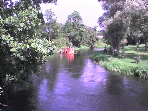 Widok na rzekę Łynę z mostu w Kosyniu