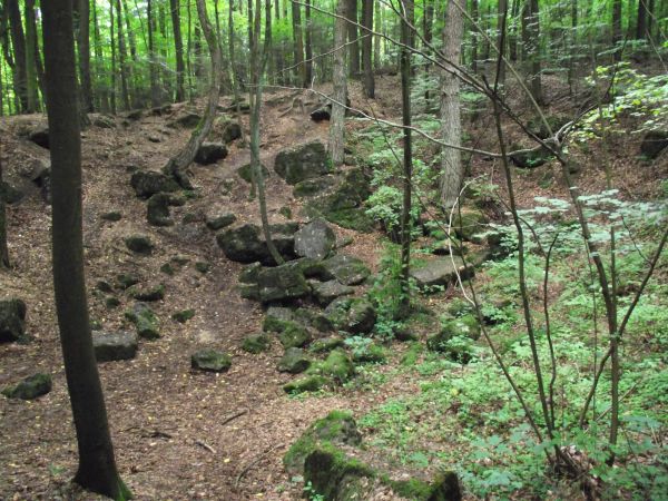 w drodze z parkingu - po lewej - do ekspozycji Jaskinia "Raj".