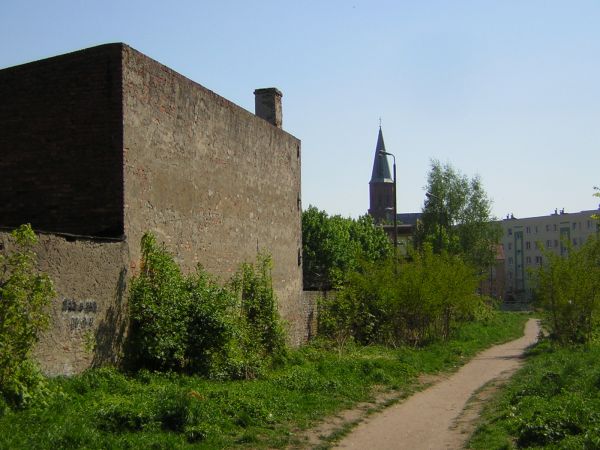 zdjecie Sulechów