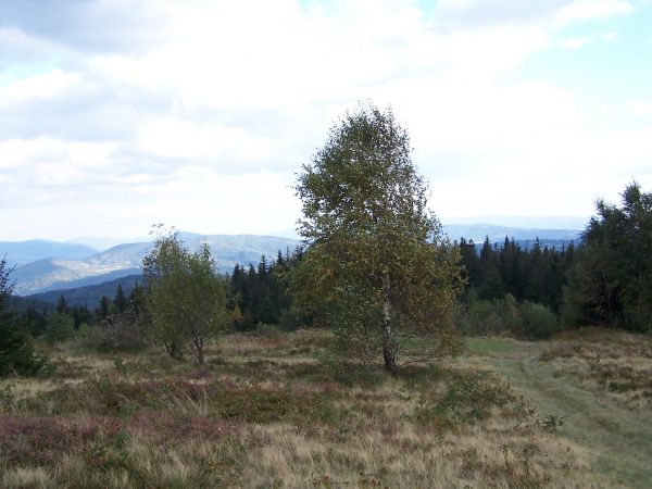 Jesień na Koskowej Górze