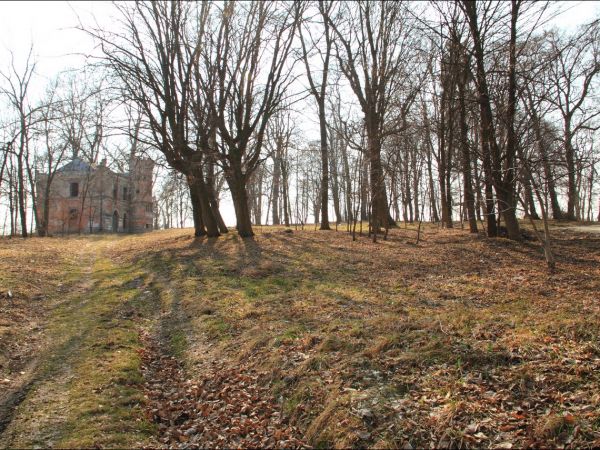 Pałacyk z początku XIX wieku  projektu architekta Chrystiana Piotra Aignera. Należał do Terleckich a następnie do Drohojowskich . Wokół niego duży , zdziczały p