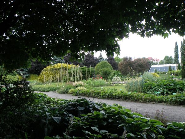 Inny tajemniczy ogród - tym razem botaniczny. Niezbyt daleko od Katedry.