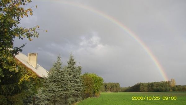 Tęcza nad Osieczną