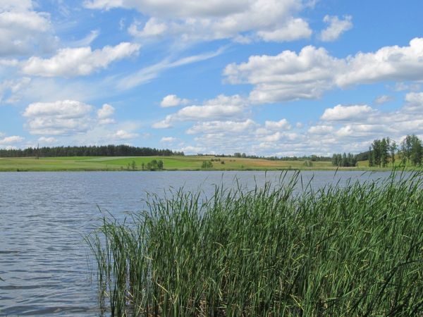 Jezioro Lubiki w Lubikach