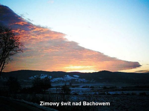 zdjecie Bachów