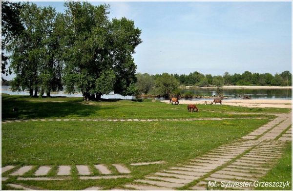 Krajobraz i pozostałości po starym moście