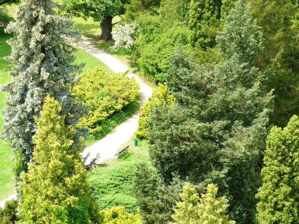 Jedna z najpiękniejszych rezydencji pałacowych w Polsce. Położona 10 km na południe od Przemyśla.  Zamek - pałac powstał w XVI wieku.  Przez kolejne lata rozbud