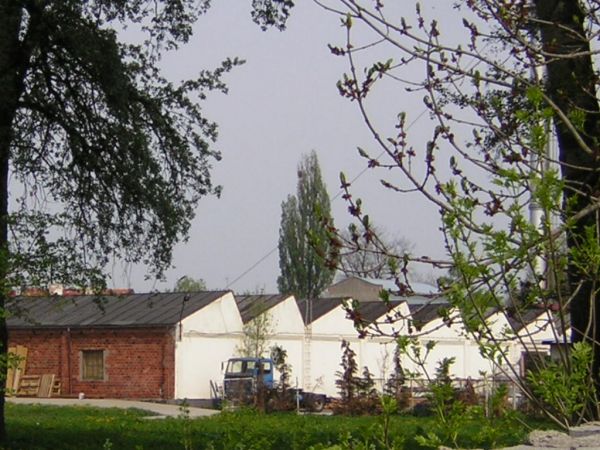 zdjecie Sulechów