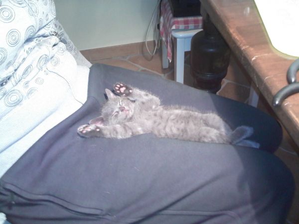 Po ciężkiej pracy należy się wytchnienie