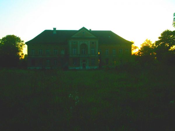 Pałac w Zdrzewnie z 1867r.