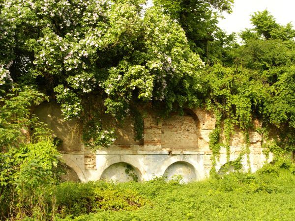 Ruiny oficyny pałacowej