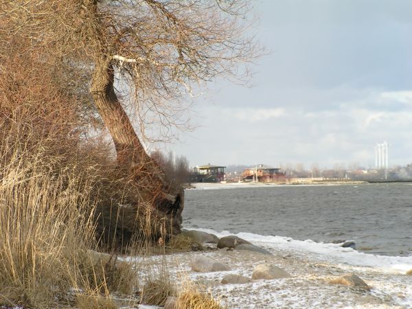 Widok na molo do strony plaży