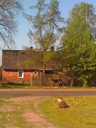 Zdjęcia Niwki Książęce