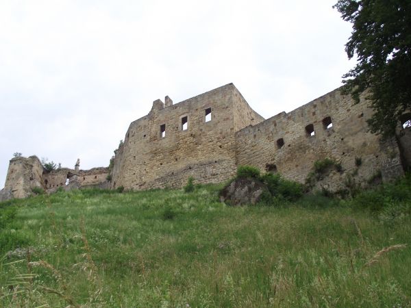zamczysko - tu łatwo dostrzec, że był zamek dolny ale i zamek górny był - tam Aleksander Fredro "Zemstę" do życia powołał - relację ze sporów czyniąc - ale w sp