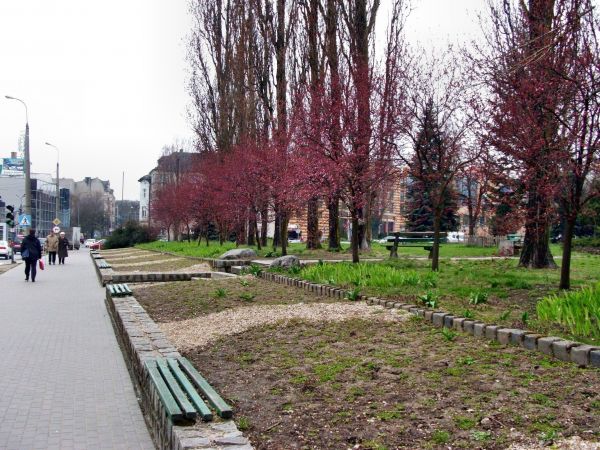 zdjecie Gorzów Wielkopolski