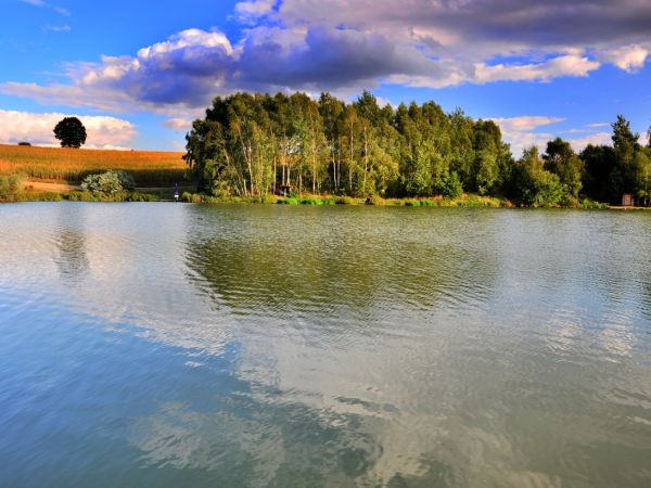 zdjecie Wodzisław Śląski