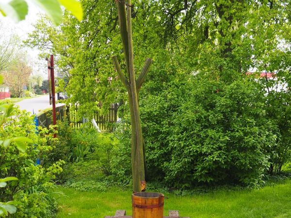 cembrowina studni z żurawiem - zdobiona ornamentami kwiatowymi.