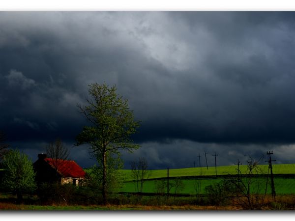 Zdjęcia Grzybowo (pow. )