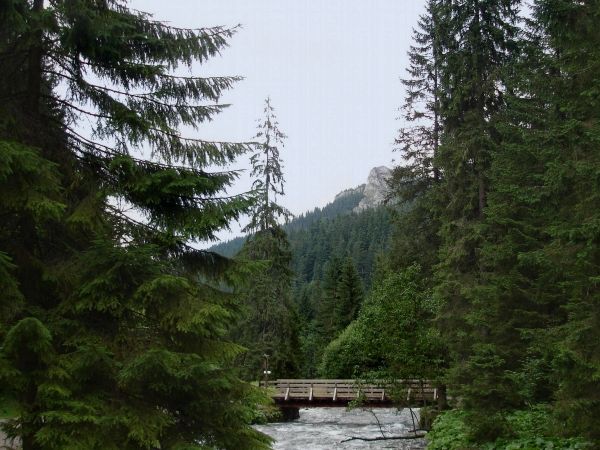 Dolina Kościeliska, Kościelisko