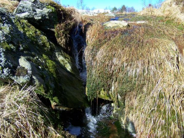 zdjecie Strzebielino