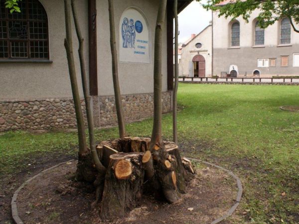 Górka Klasztorna - lipiec 2011