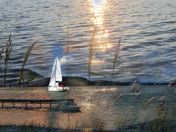 Wspomnienia z Borska 2016