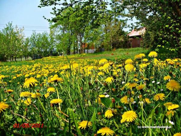 Wiosna w Suliszowicach