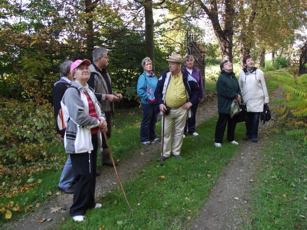 teren parku będziemy opuszczać, gospodarz do bramy nas odprowadza i dalej opowiada, za bramą dojazdowa aleja kasztanowa - i poznaliśmy temat pt. : szrotówek kas