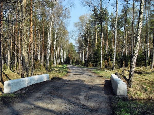 zdjecie Studzienice
