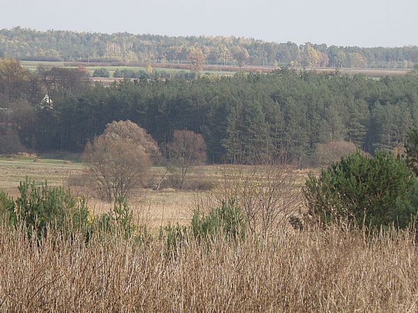 Boria w kierunku Lemierzy