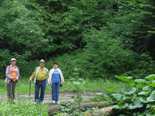 na mostku nad potokiem Olchowieckim, co przez teren b. jednostki wojskowej płynie i do Sanu wpada, po prawej: łopuszyna - bujna, dorodna bo i środowisko "jakby
