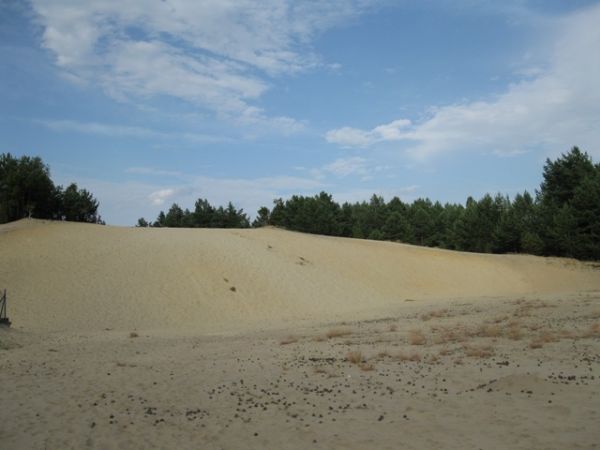 Znajdująca się w Majdanie Sopockim "góra piaskowa" jest idealnym miejscem na zabawy zarówno latem jak i zimą