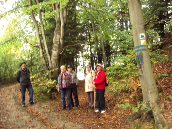 zgodnie ze wskazaniami / oznaczeniami szlaków - poruszamy się, tu korzystamy z przecinki tj. wąskiej dróżki wyciętej w lesie.