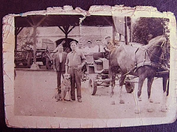 zdjecie Żarki Średnie