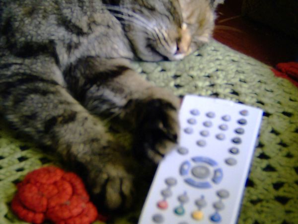 oglądanie męczy a może nudzi