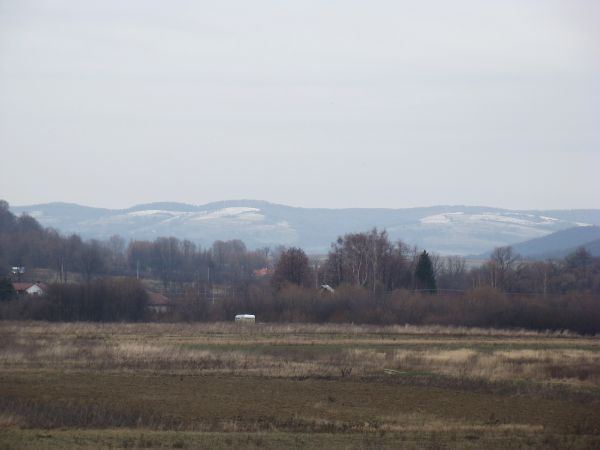północne stoki Pogórza Bukowskiego śniegiem przyprószone.