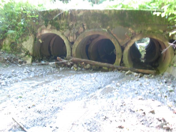 U początków Niskówki.