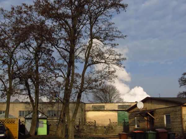 Przerwa między dwoma barakami mieszkalnymi przy ulicy Mickiewicza i w tle fragment zakładu płyt drewnopochodnych - Steico