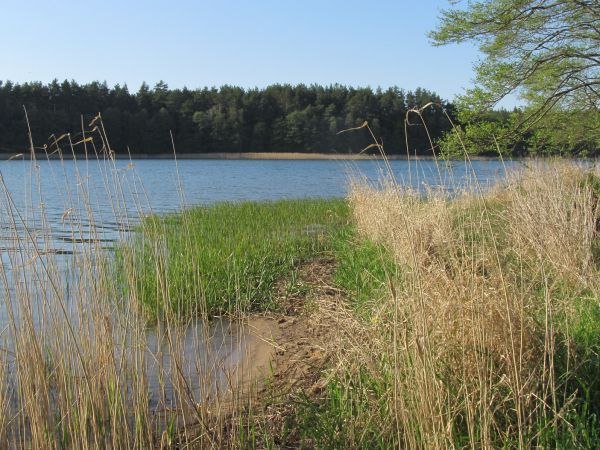 Na brzegu jeziora Wdzydze przy OW Largo