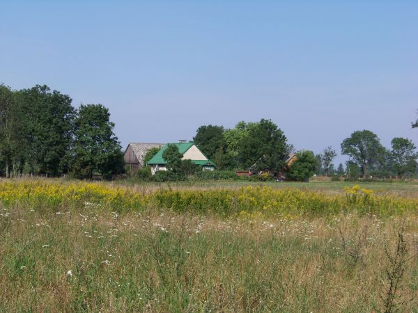 Zabudowania wiejskie wśród kwiatów i drzew.