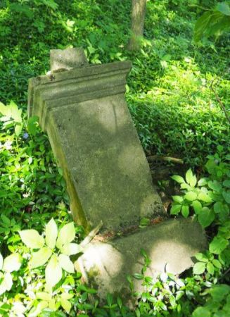 wieniec starych drzew otacza wzgórze cerkiewne - tam pojedyncze krzyże, kilka metalowych - współczesnych, symbolizujące pochówki z dalszej przeszłości, są też p