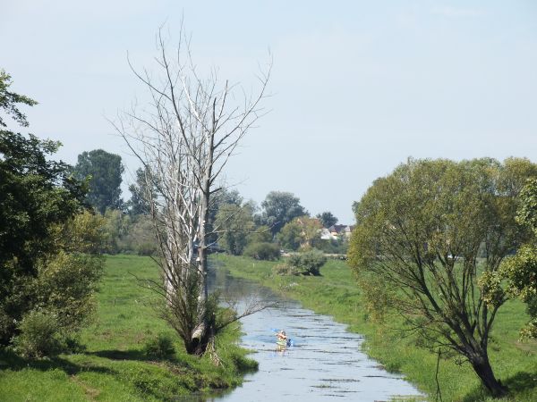 Rezerwat /część/ można zwiedzić kajakiem