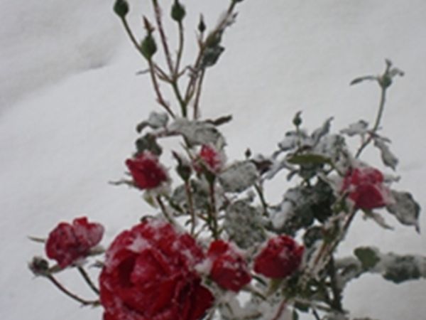 Październik 2009 jesień czy zima????