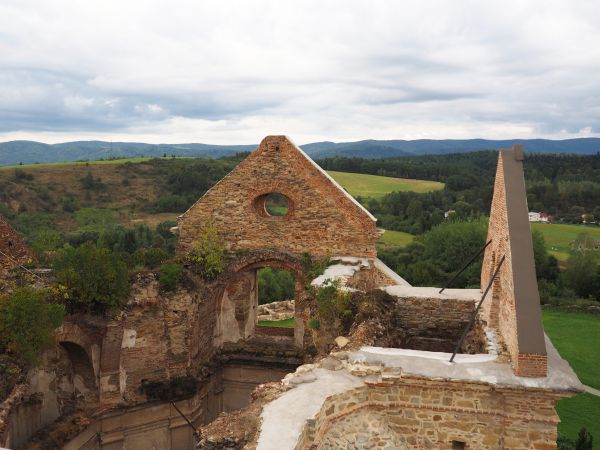 kościelne mury w zespole klasztornym - podczas prac zabezpieczających i renowacyjnych, samosiejki kolorytu dodają no ale ich rozrastający system korzeniowy wnik