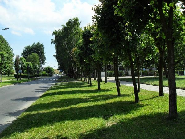 Na ulicy Jana Pawła II